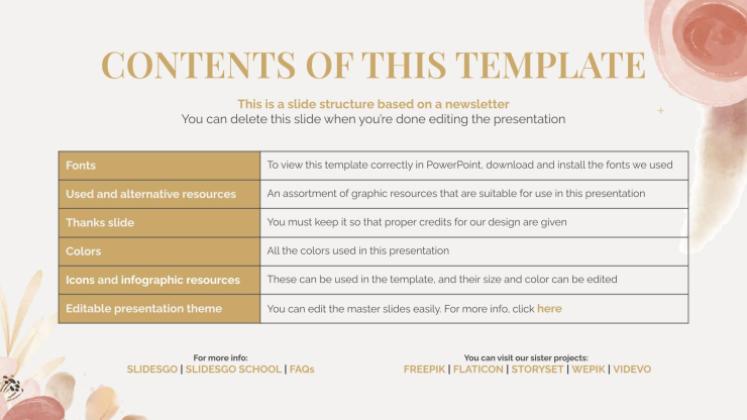 Jewelry Brand Newsletter presentation template 