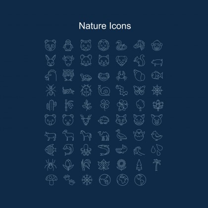 N006 Pitch Deck presentation template 