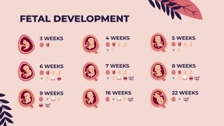 아기 안전의 달에 대한 태아 질병 인식 프레젠테이션 템플릿