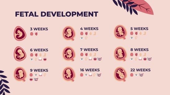 아기 안전의 달에 대한 태아 질병 인식 프레젠테이션 템플릿