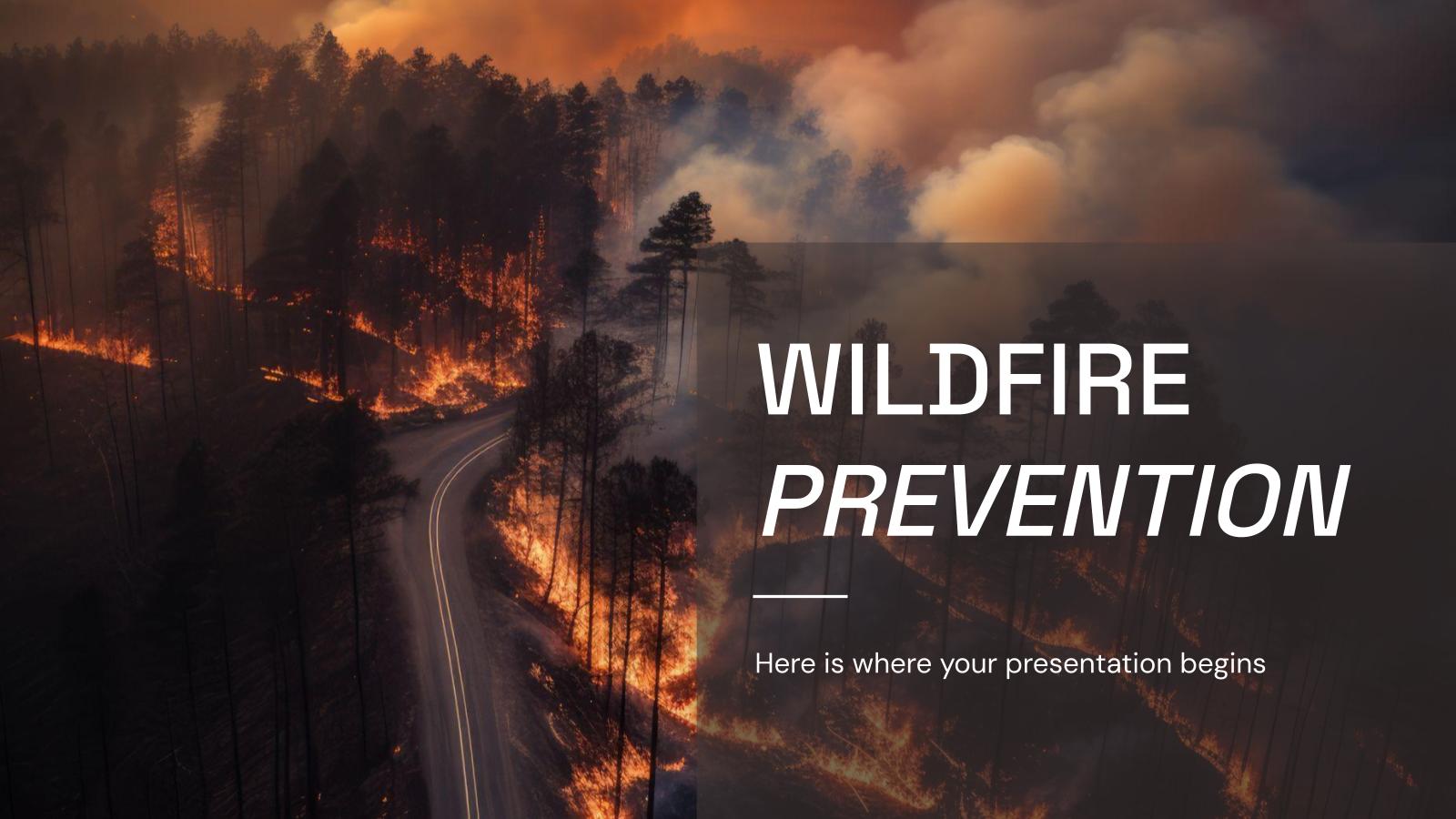 Wildfire Prevention presentation template 