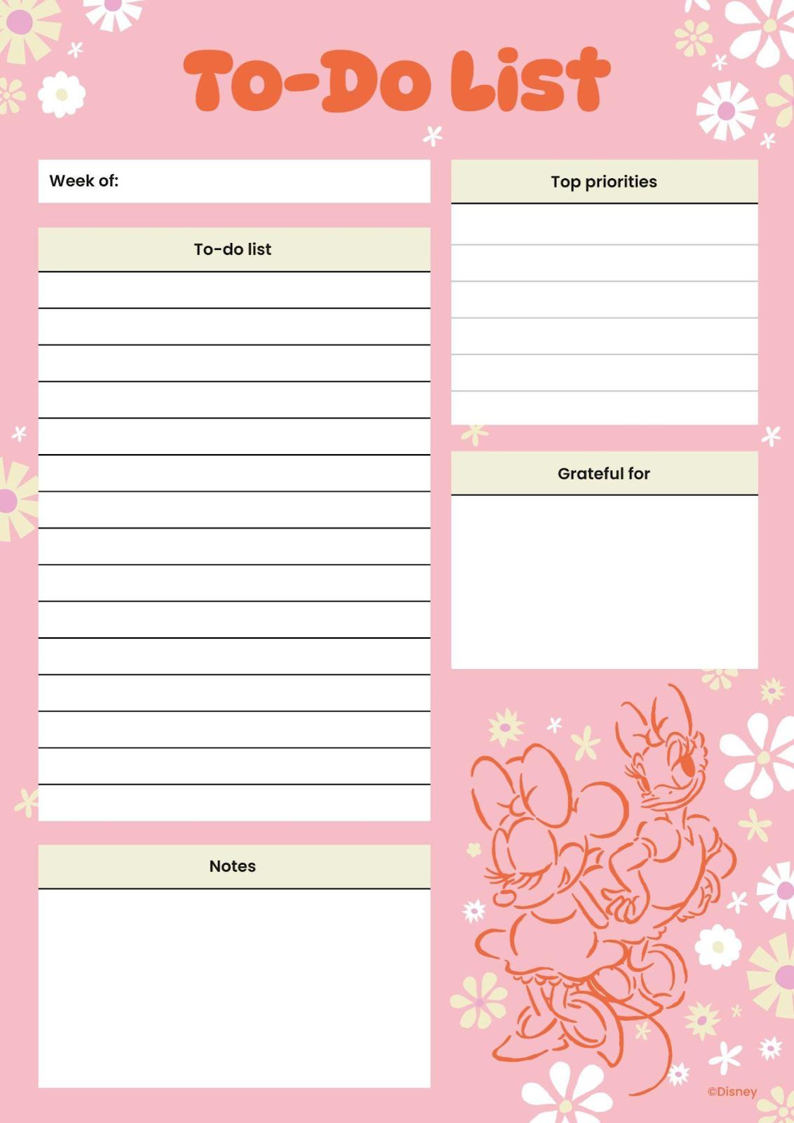 minnie-and-daisy-planner1755173824.jpg