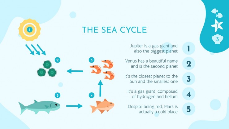 Vie marine Modèles de présentation