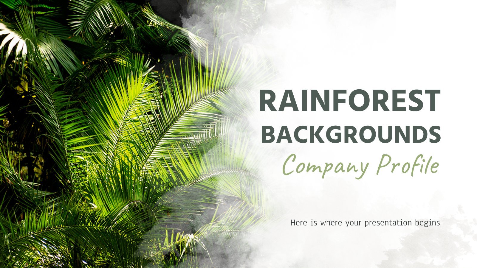 Rainforest Backgrounds Company Profile presentation template 