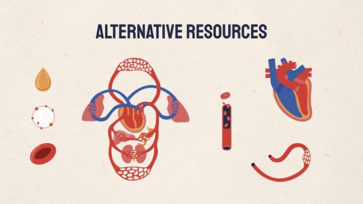 Heart Failure Clinical Case presentation template 