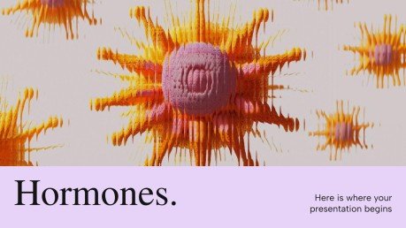 Hormones Modèles de présentation