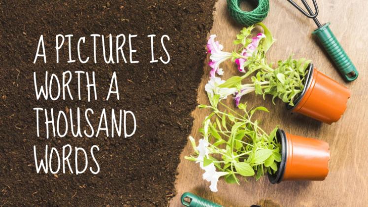 Semaine du jardinage Modèles de présentation