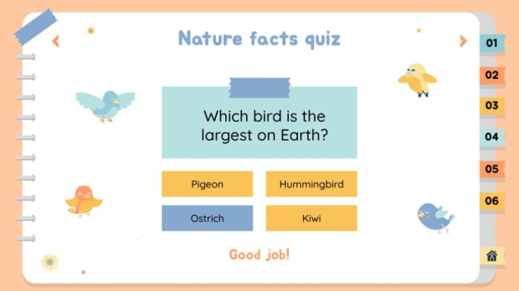 Activités éducatives sur la nature Modèles de présentation
