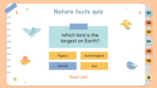 Activités éducatives sur la nature Modèles de présentation