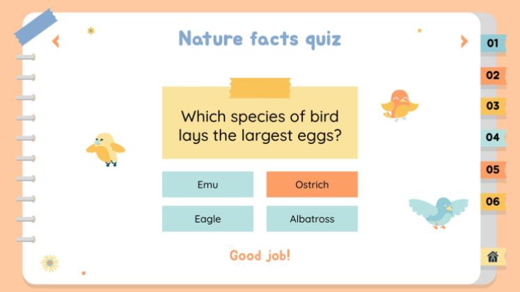 Activités éducatives sur la nature Modèles de présentation