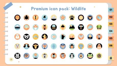 Activités éducatives sur la nature Modèles de présentation