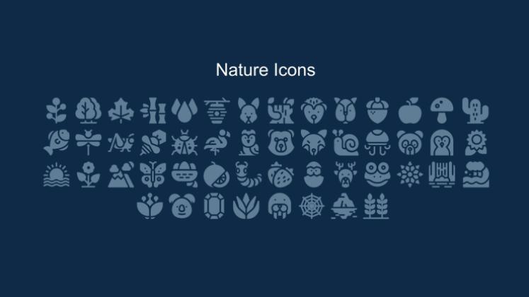 Activités éducatives sur la nature Modèles de présentation