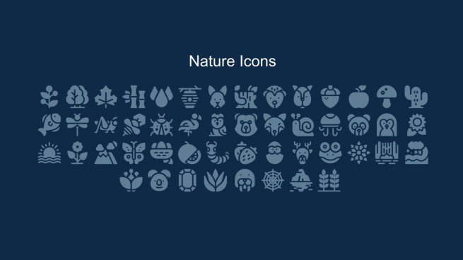 Activités éducatives sur la nature Modèles de présentation