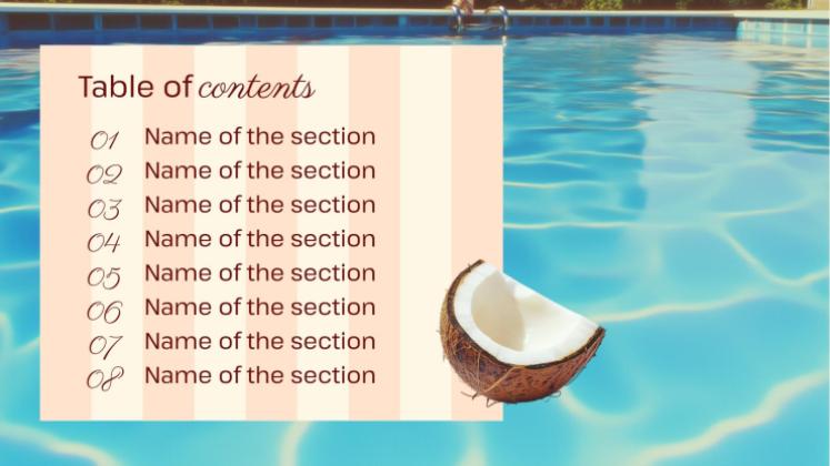 Modelo de apresentação Meu Diário de Verão