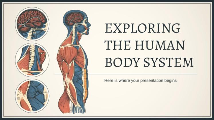 Plantilla de presentación Explorando el sistema del cuerpo humano