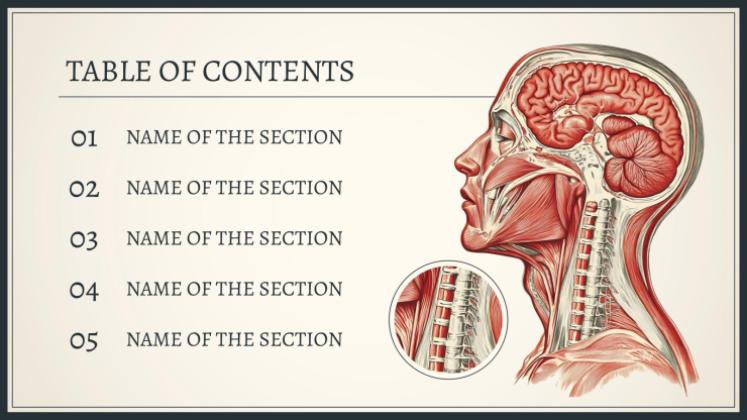 Plantilla de presentación Explorando el sistema del cuerpo humano