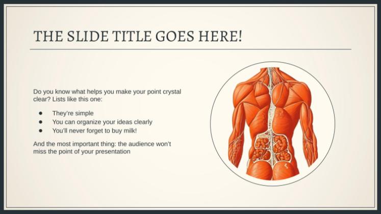 Plantilla de presentación Explorando el sistema del cuerpo humano