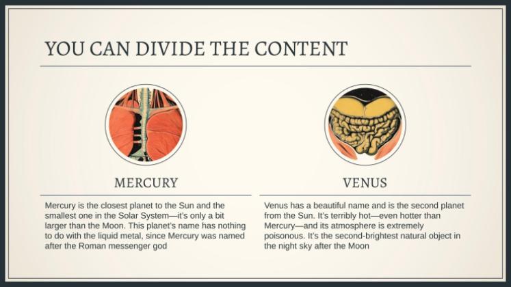 Plantilla de presentación Explorando el sistema del cuerpo humano