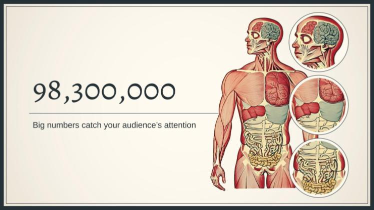 Plantilla de presentación Explorando el sistema del cuerpo humano
