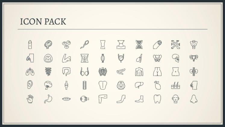 Plantilla de presentación Explorando el sistema del cuerpo humano
