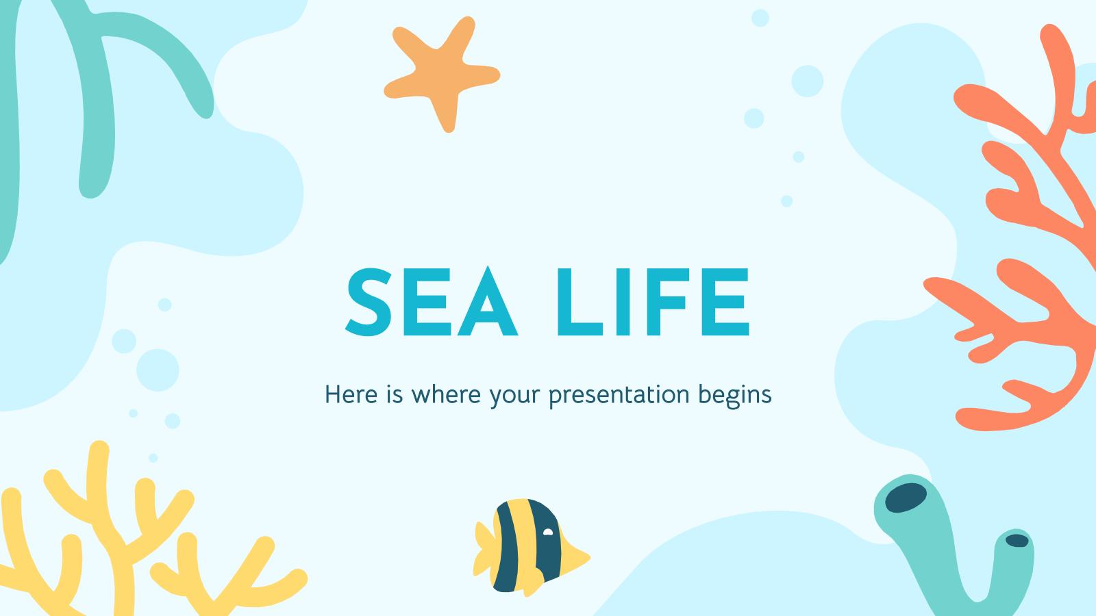 0-sea-life.jpg
