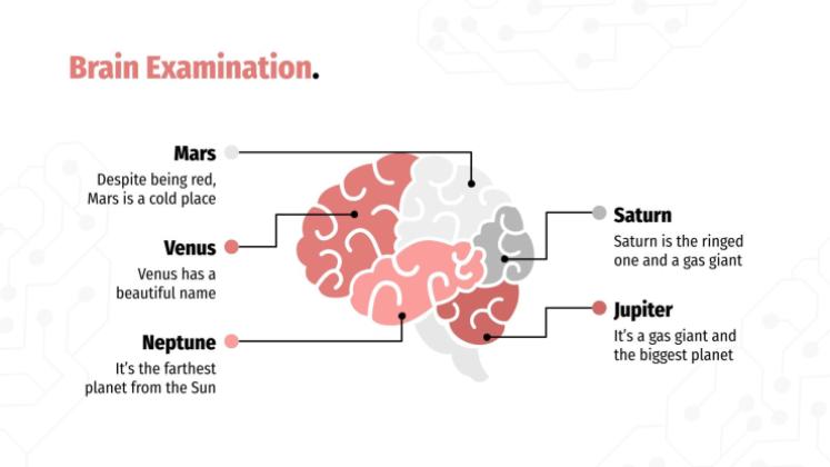 Cas clinique en neurologie Modèles de présentation