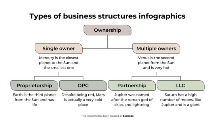 Types of Business Structures Infographics presentation template 