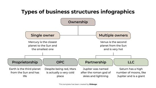 Types of Business Structures Infographics presentation template 