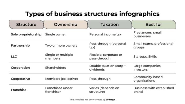 Types of Business Structures Infographics presentation template 