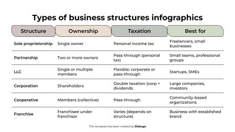 Types of Business Structures Infographics presentation template 
