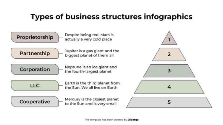 Types of Business Structures Infographics presentation template 