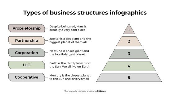 Types of Business Structures Infographics presentation template 