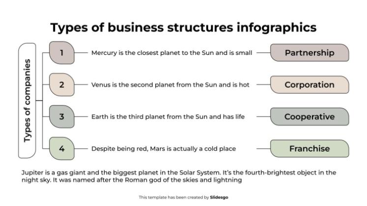 Types of Business Structures Infographics presentation template 