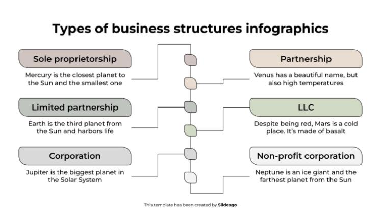 Types of Business Structures Infographics presentation template 