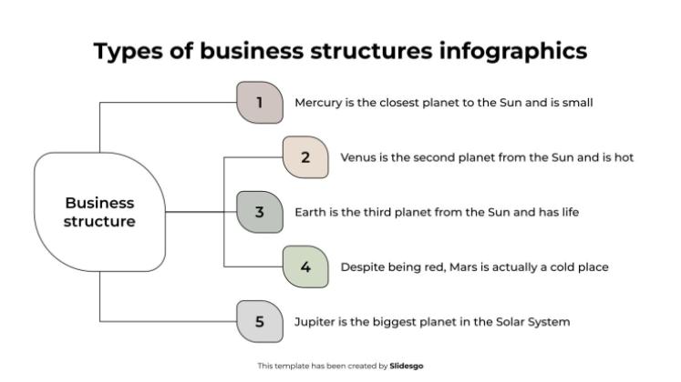 Types of Business Structures Infographics presentation template 