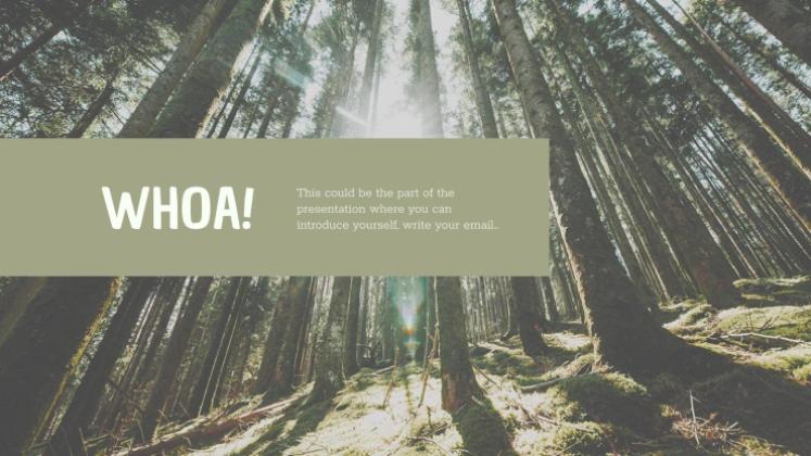 CSR Report presentation template 