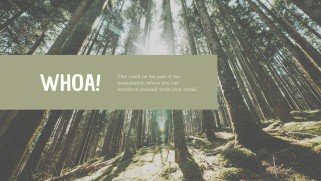 CSR Report presentation template 