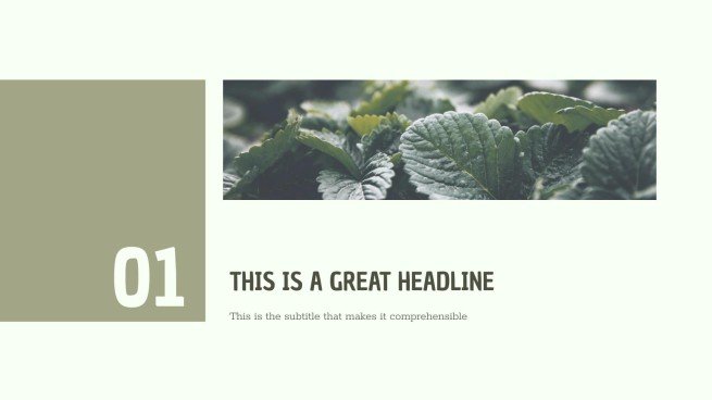 CSR Report presentation template 