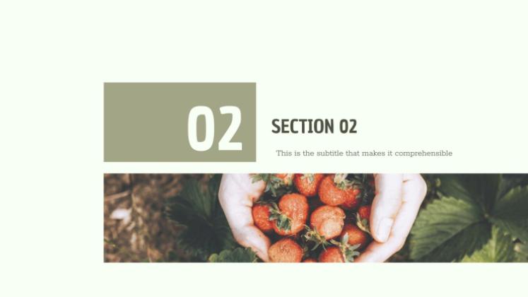 CSR Report presentation template 