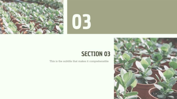 CSR Report presentation template 