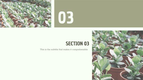 CSR Report presentation template 