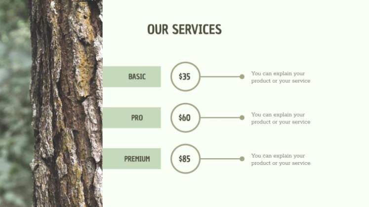 CSR Report presentation template 