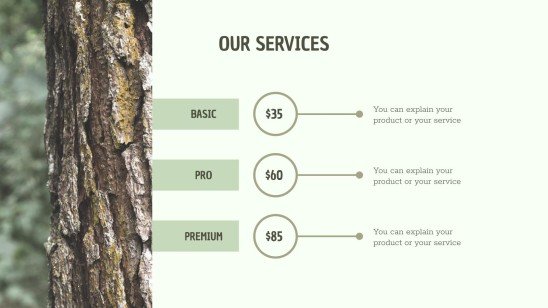 CSR Report presentation template 