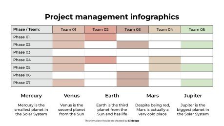 Infographies de gestion de projet Modèles de présentation