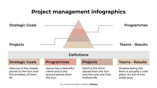 Infographies de gestion de projet Modèles de présentation