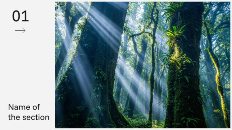 À la découverte des merveilles de l'Australie Modèles de présentation