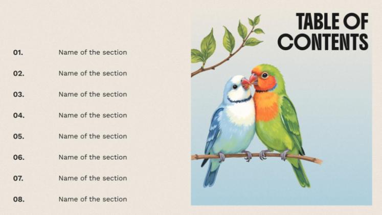 The World of Birds presentation template 