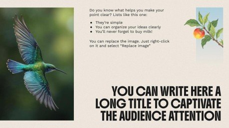 The World of Birds presentation template 