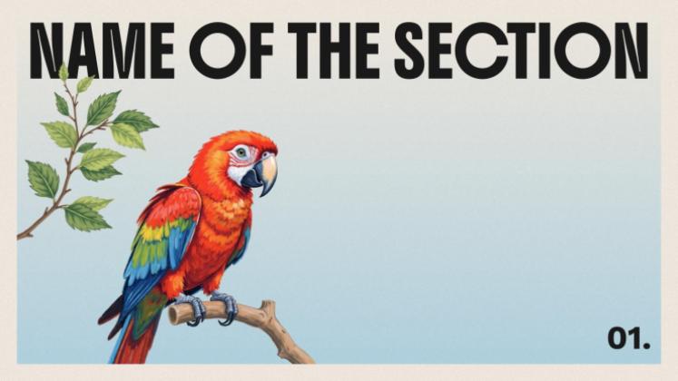 The World of Birds presentation template 