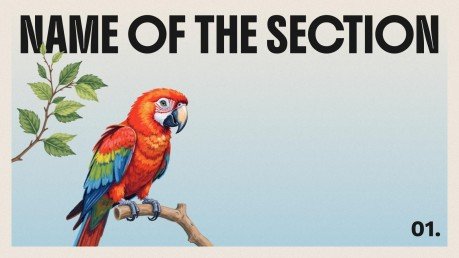 The World of Birds presentation template 